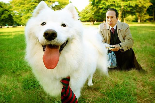 犬飼さんちの犬