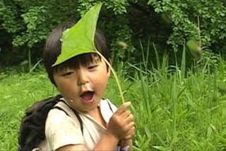 さぁ のはらへいこう 青空自主保育の三年間