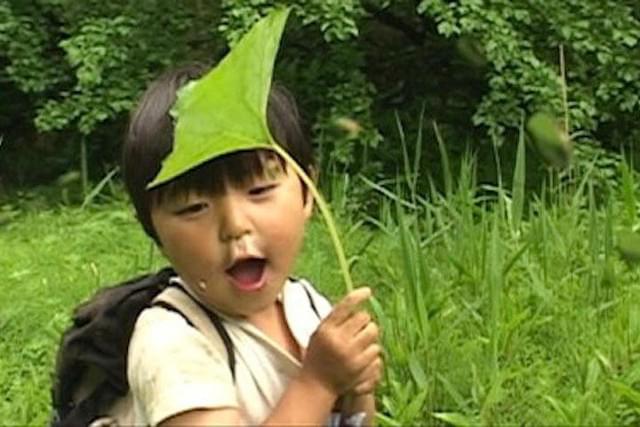 さぁ のはらへいこう 青空自主保育の三年間