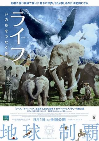 ライフ いのちをつなぐ物語