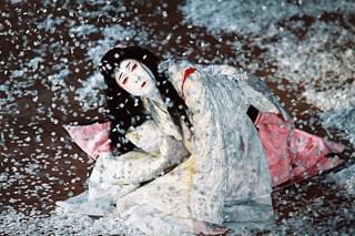 シネマ歌舞伎 坂東玉三郎 鷺娘の予告編・動画