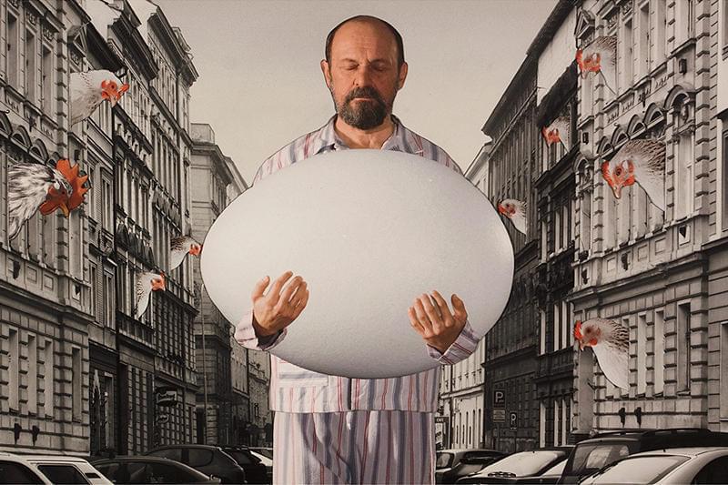 サヴァイヴィング ライフ 夢は第二の人生