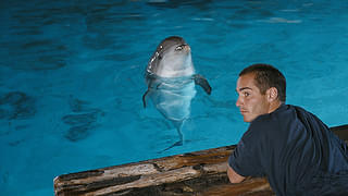 グラン・ブルー 完全版