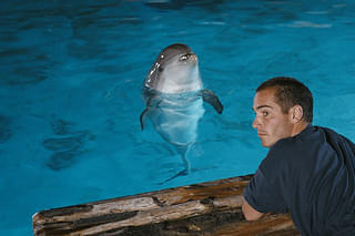 グラン・ブルー 完全版