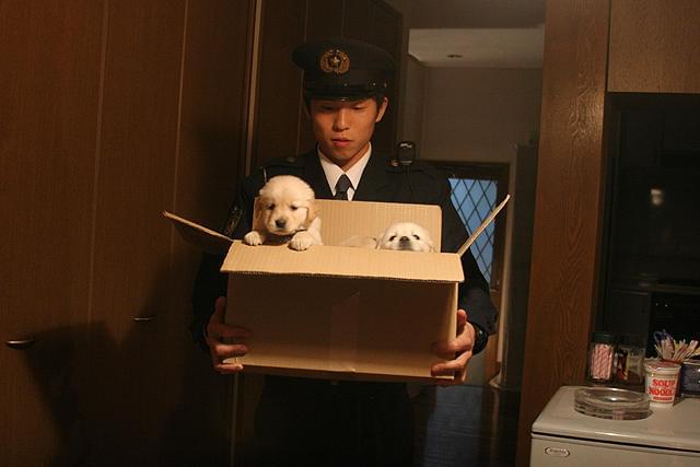 犬のおまわりさん てのひらワンコ3D