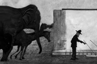 マイブリッジの糸