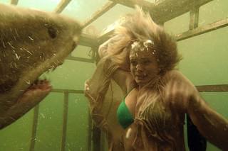 シャーク・ナイト