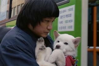 ムサン日記 白い犬