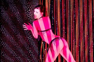 クレイジーホース・パリ 夜の宝石たちの予告編・動画