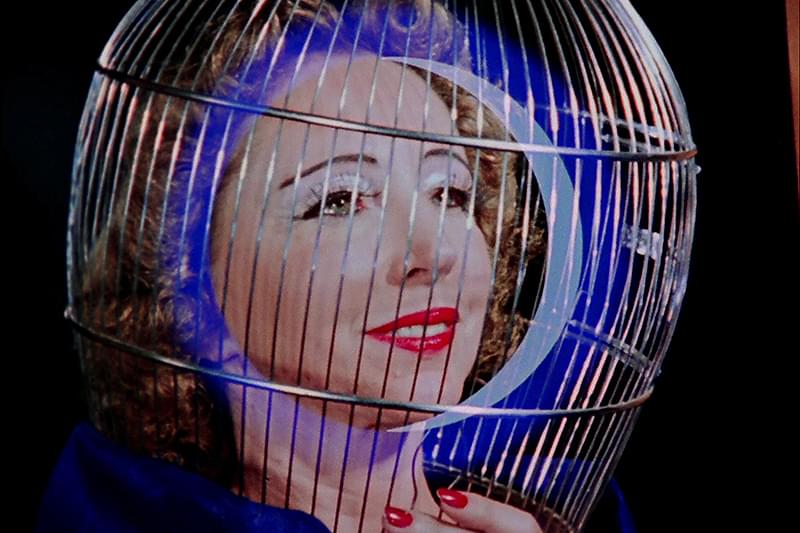 マジック・ランタン・サイクル : 作品情報・キャスト・あらすじ - 映画.com