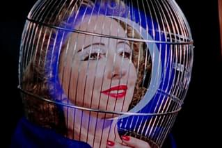 マジック・ランタン・サイクル