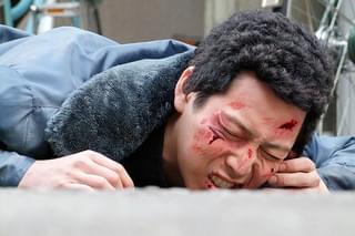 犬の首輪とコロッケとの予告編・動画