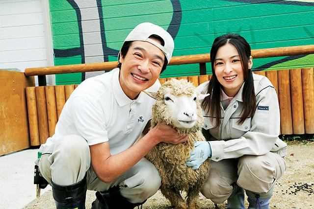 ひまわりと子犬の7日間