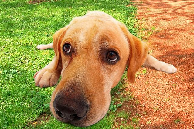 LOVE まさお君が行く！