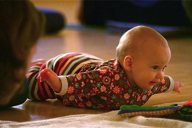 ベイビーズ いのちのちから