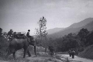 真昼の不思議な物体