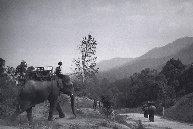 真昼の不思議な物体