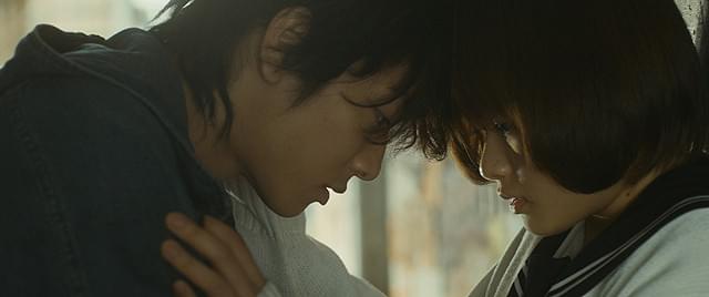 カノジョは嘘を愛しすぎてる