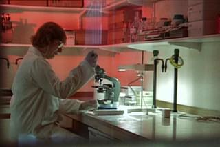 モンサントの不自然な食べもの