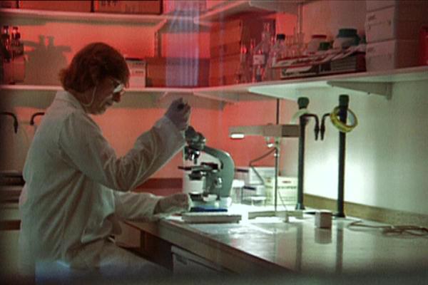 モンサントの不自然な食べもの