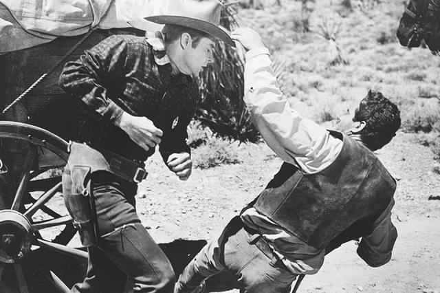 情無用の拳銃