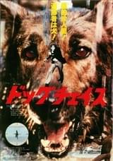 ドッグチェイス