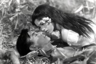 君の名は 第二部