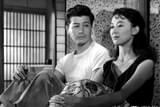 早春（1956）