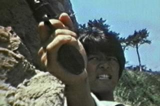 荒野の狼（1976）