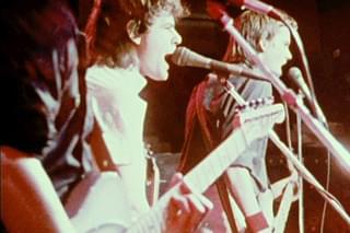 プロテックス ハラー