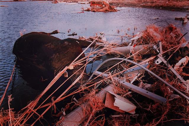 ウェイストランド THE WASTELAND