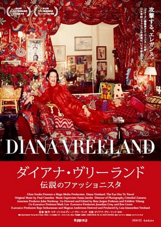 ダイアナ・ヴリーランド 伝説のファッショニスタ