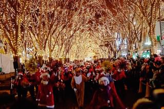 サンタクロースをつかまえての予告編・動画