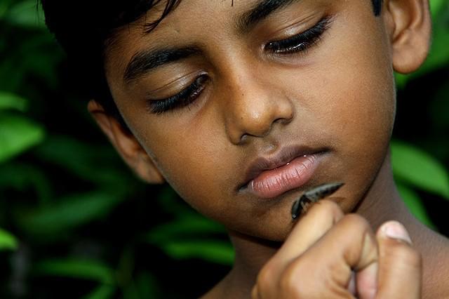 黄色い最期の光