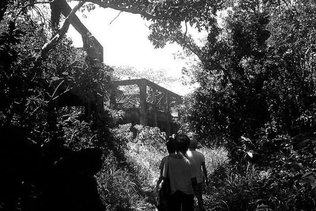 グレート・シネマ・パーティー