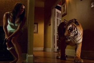 バーニング・ブライト