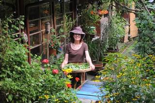 ベニシアさんの四季の庭の予告編・動画