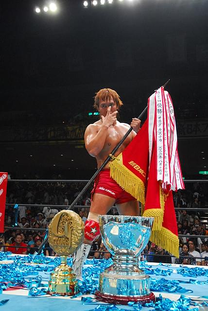 ワールドプロレスリング 第7弾 G1 CLIMAX 3D 2013 : 作品情報