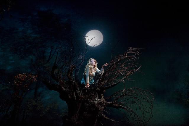 METライブビューイング2013-14 ドヴォルザーク《ルサルカ》