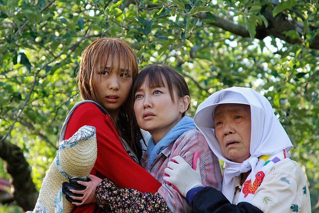 りんごのうかの少女