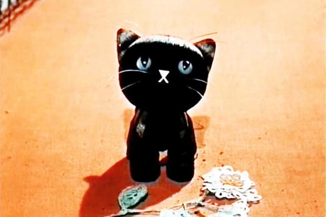 こねこのミーシャ