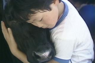 夢は牛のお医者さん