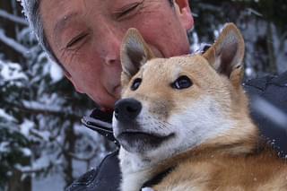 シバ 縄文犬のゆめ