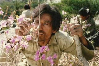 南部軍 愛と幻想のパルチザン