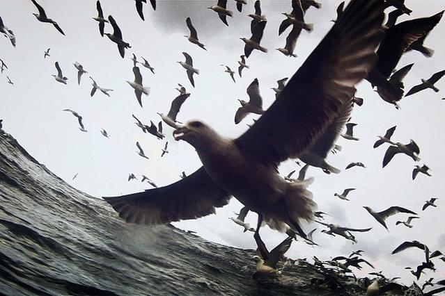 リヴァイアサン