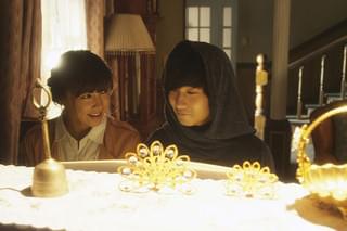 桃の木 シャム双子の悲しい物語