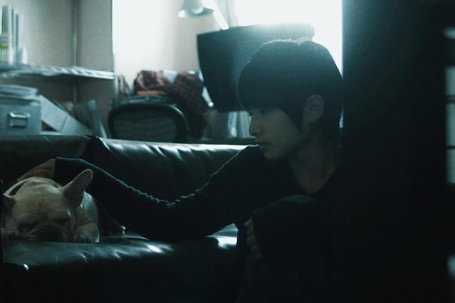 吠えても届かない