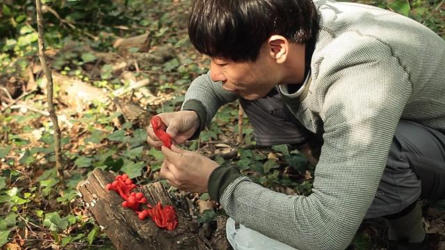 川下さんは何度もやってくる