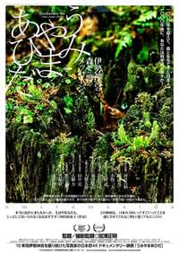 うみやまあひだ 伊勢神宮の森から響くメッセージ