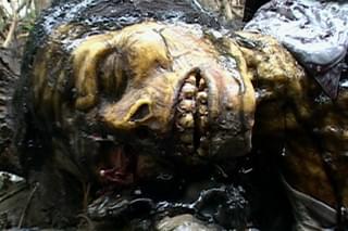 デス・マングローヴ ゾンビ沼